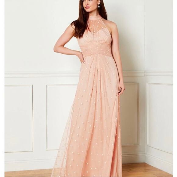 Adrianna Papell Glitter Dot Sheer Halter Neck Sleeveless Blush Pink Gown Size 12 - Picture 1 of 7